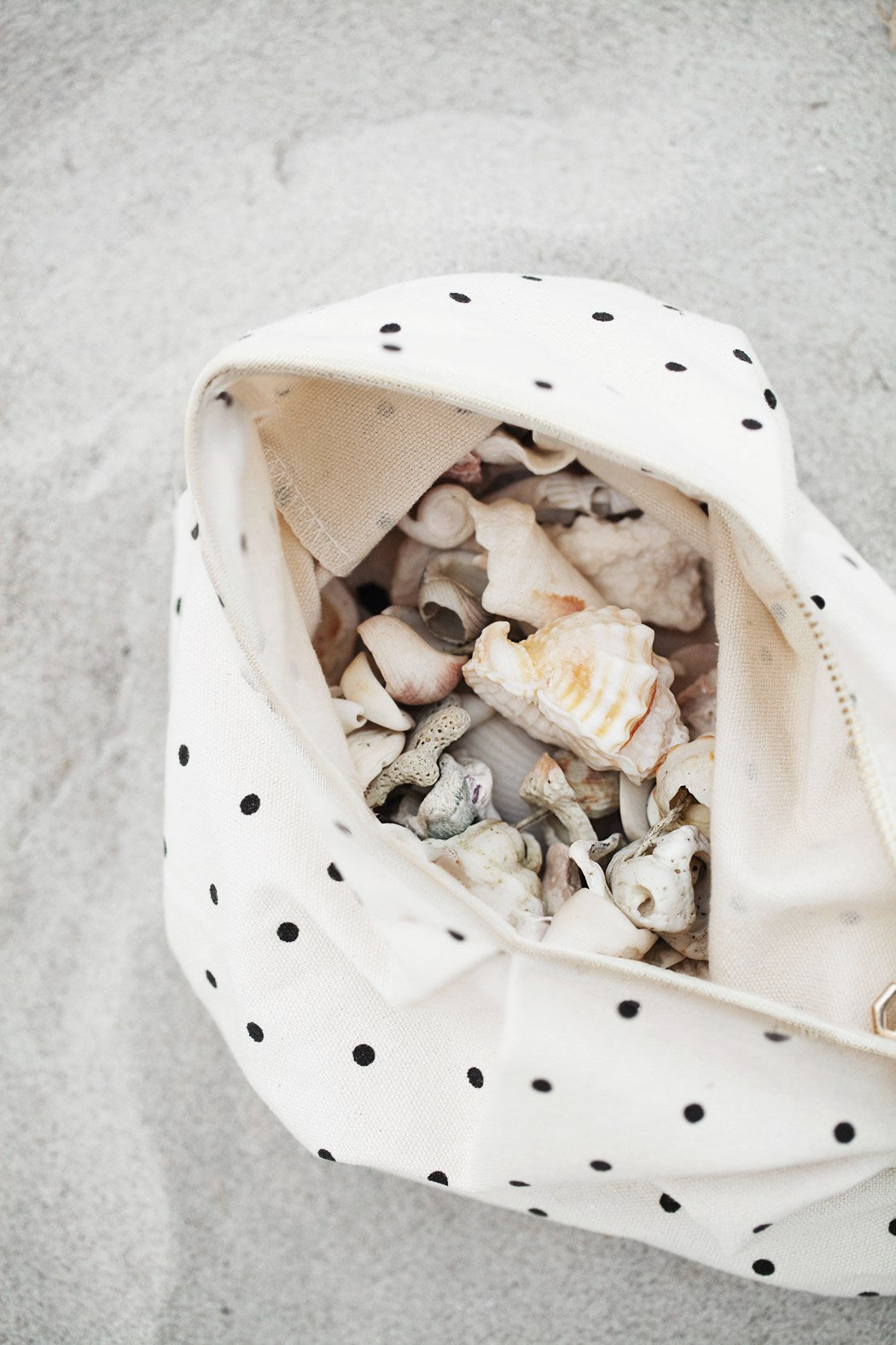 Gepunktete Kosmetiktasche mit Muscheln