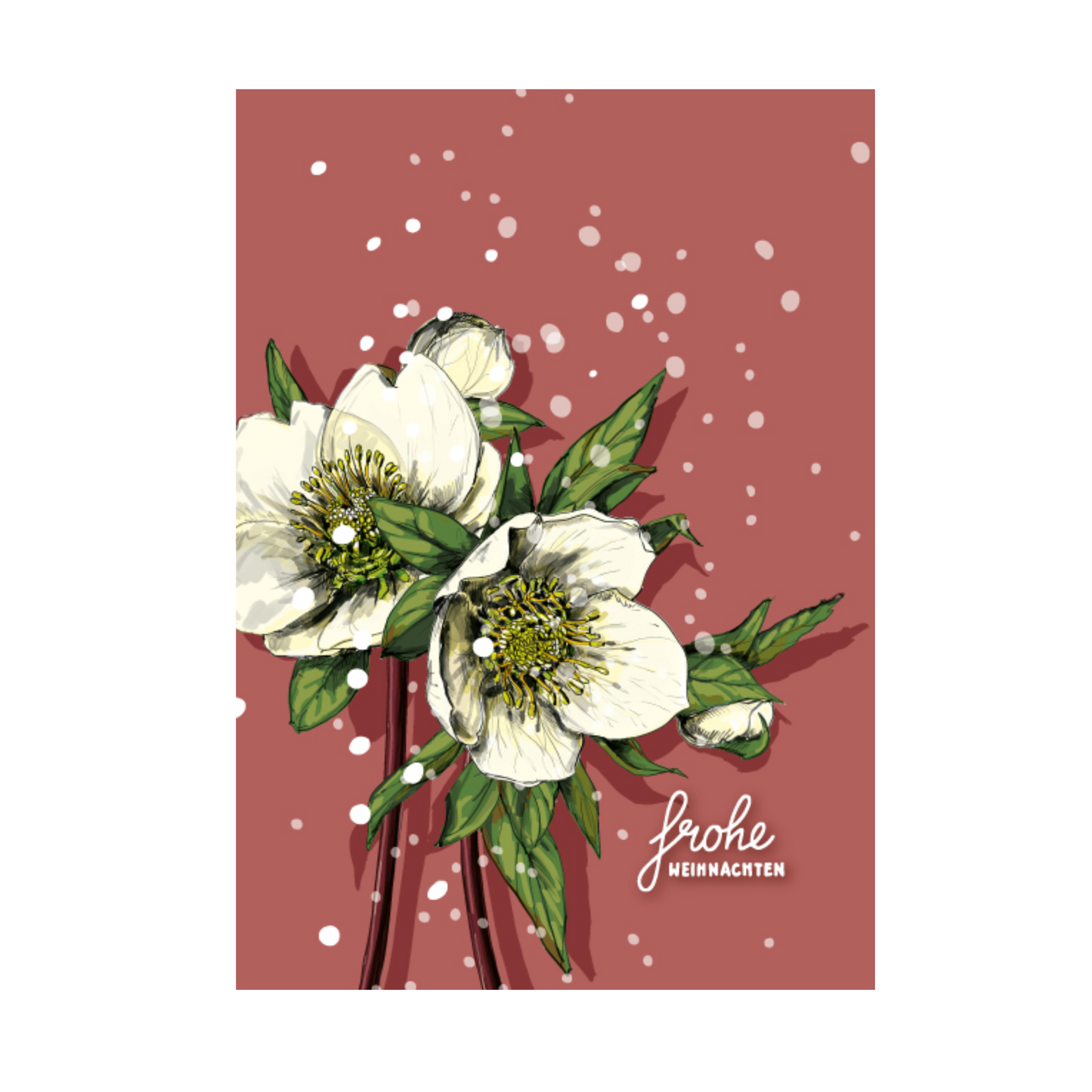 Postkarten Schneerosen | A6