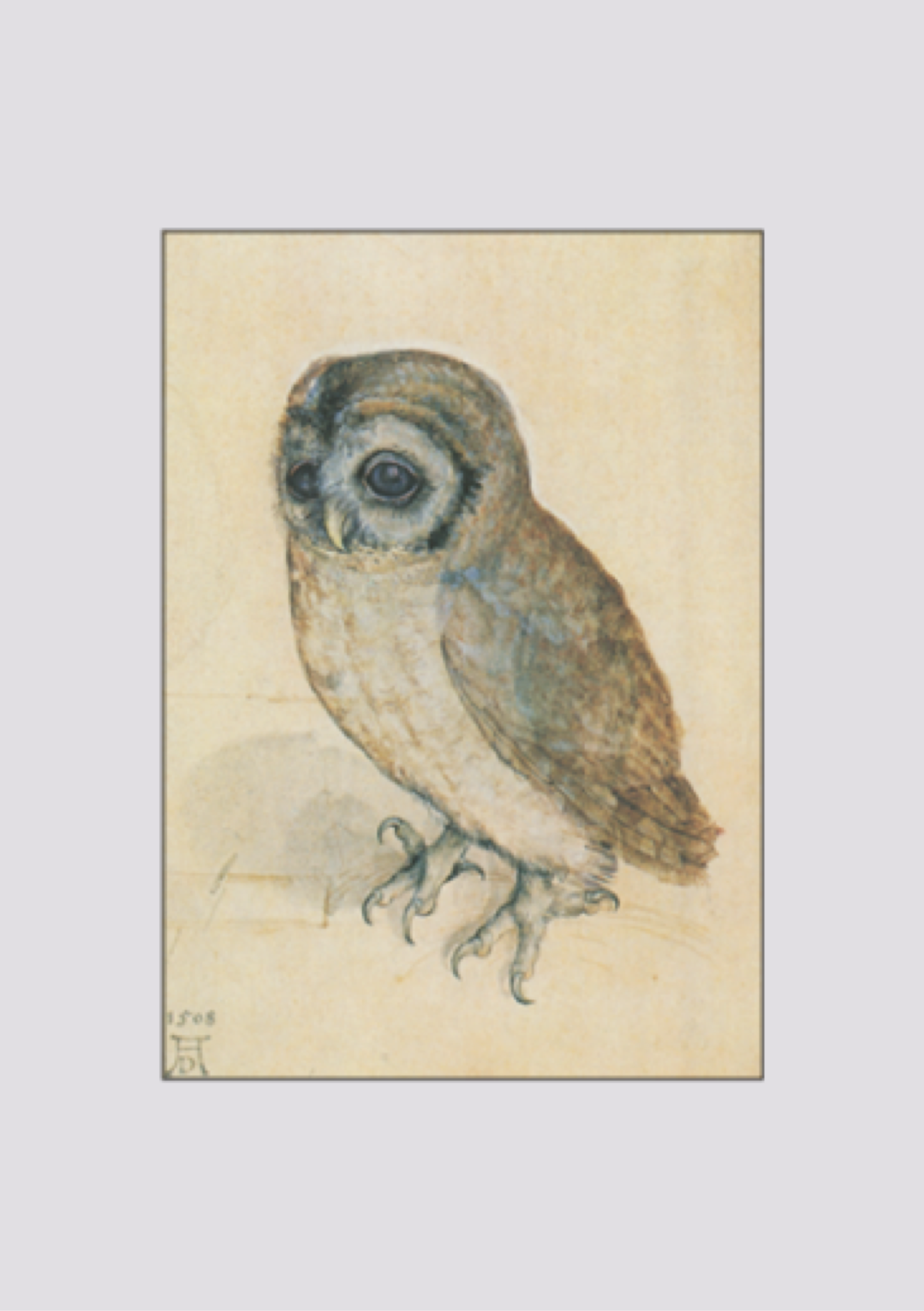 Abrecht Dürer das Käuzchen