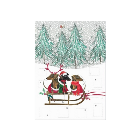 Adventskalender-Drei Dackel mit Rentiergeweihen und roten Schals sitzen auf einem Schlitten vor schneebedeckten Tannenbäumen, umgeben von fallendem Schnee.