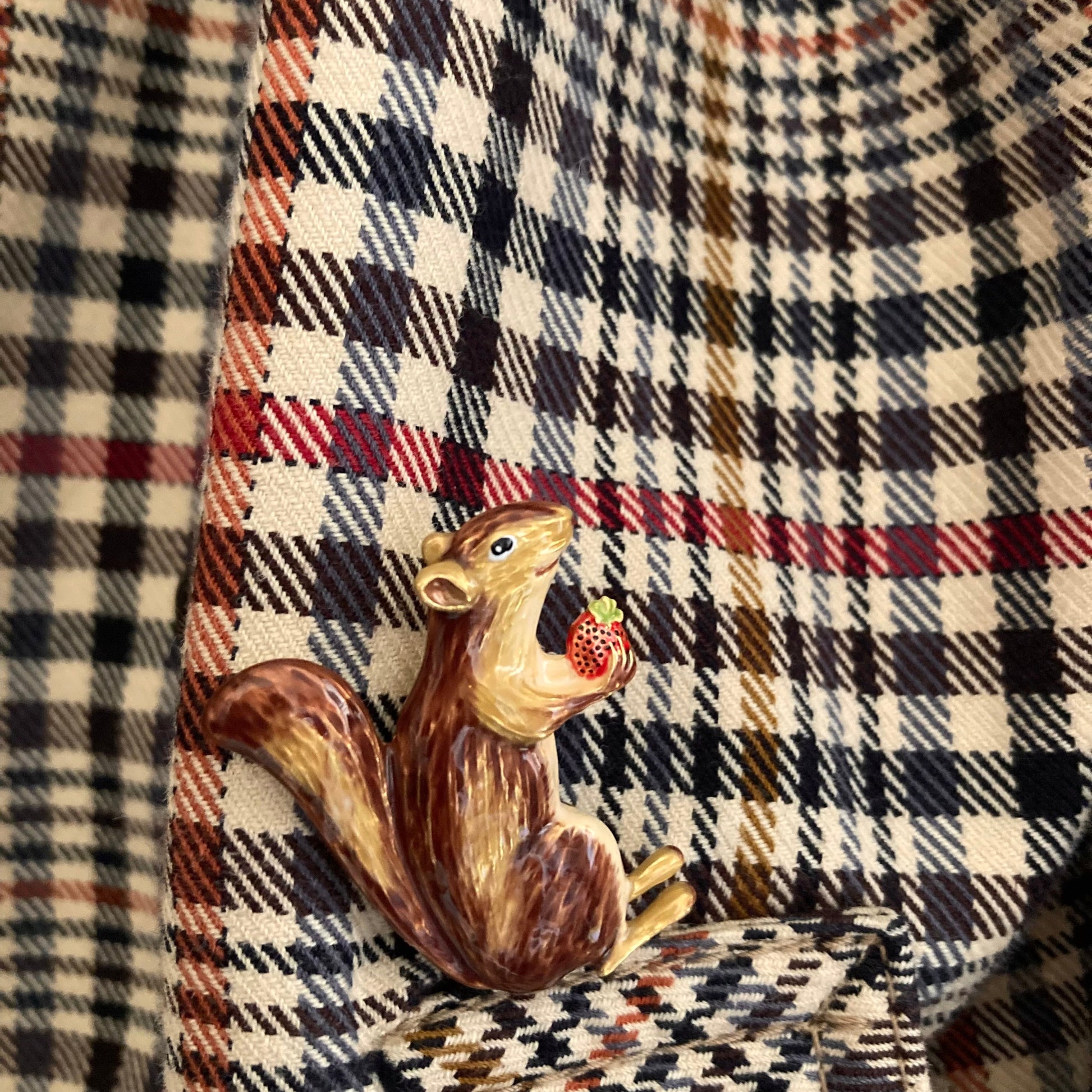Brosche - Braunes Eichhörnchen mit buschigem Schwanz, das eine rote Erdbeere hält, auf kariertem Stoff.