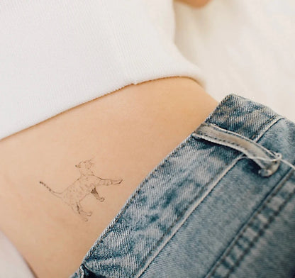 Tattoo einer  Katze auf dem Bauch einer Person mit blauer Jeans