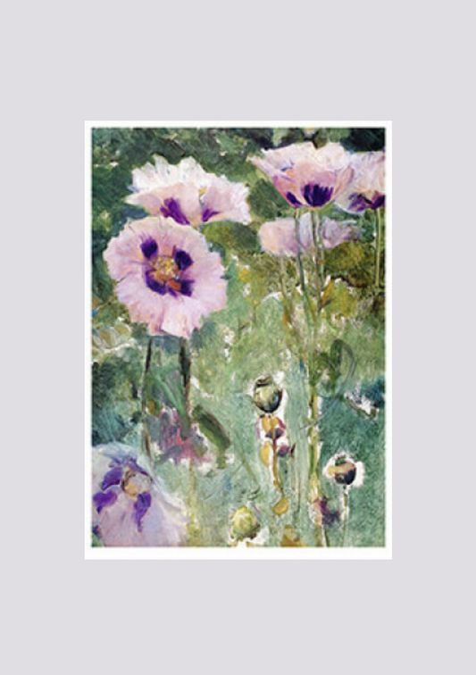 Mohn