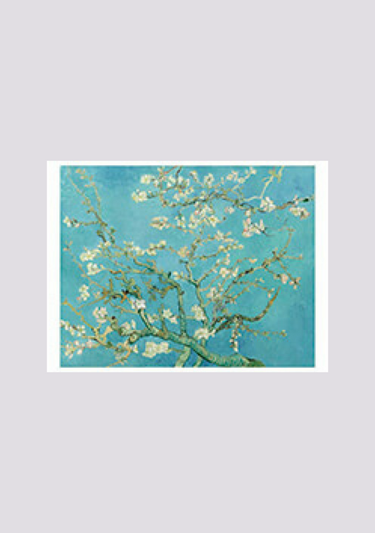 Mandelblüte