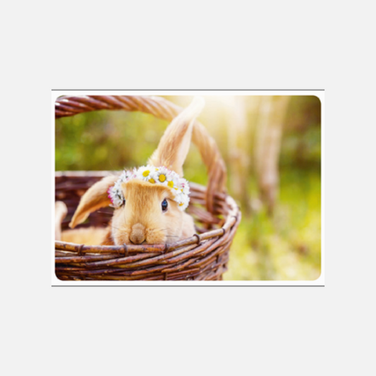 Postkarte Kopfschmuck (Hase mit Blumenkranz)