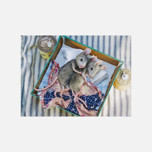 Postkarte Mäuse kuscheln 