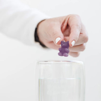 Teebärli Heidelbeere