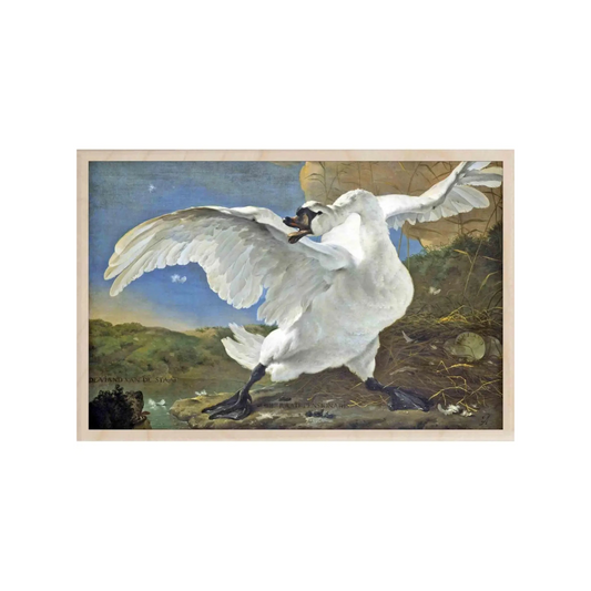Der bedrohte Schwan 