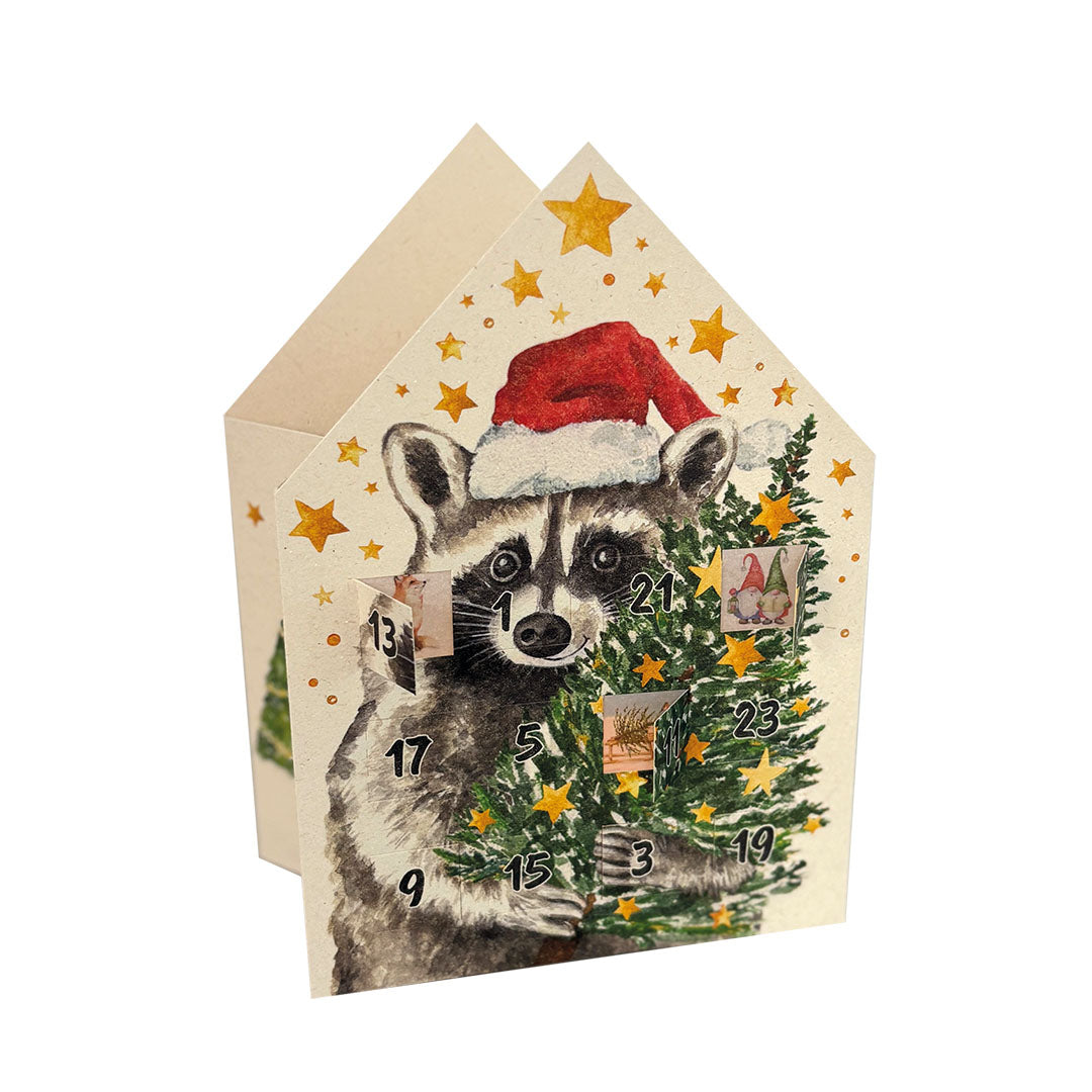 Leuchtender Adventskalender der Edition Gollong in Hausform mit einem gezeichneten Waschbären im Weihnachtsmann-Look, der einen Christbaum hält. Einige Türchen sind geöffnet.