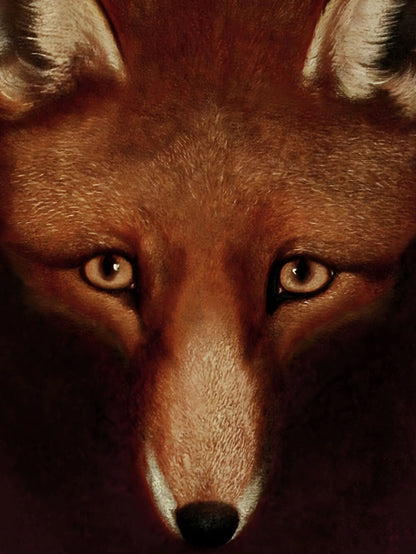 Fine-Art-Kunstdruck von Philip Reinagles Gemälde "Reynard der Fuchs" – Frontales Fuchsporträt vor dunklem, warmem Hintergrund.