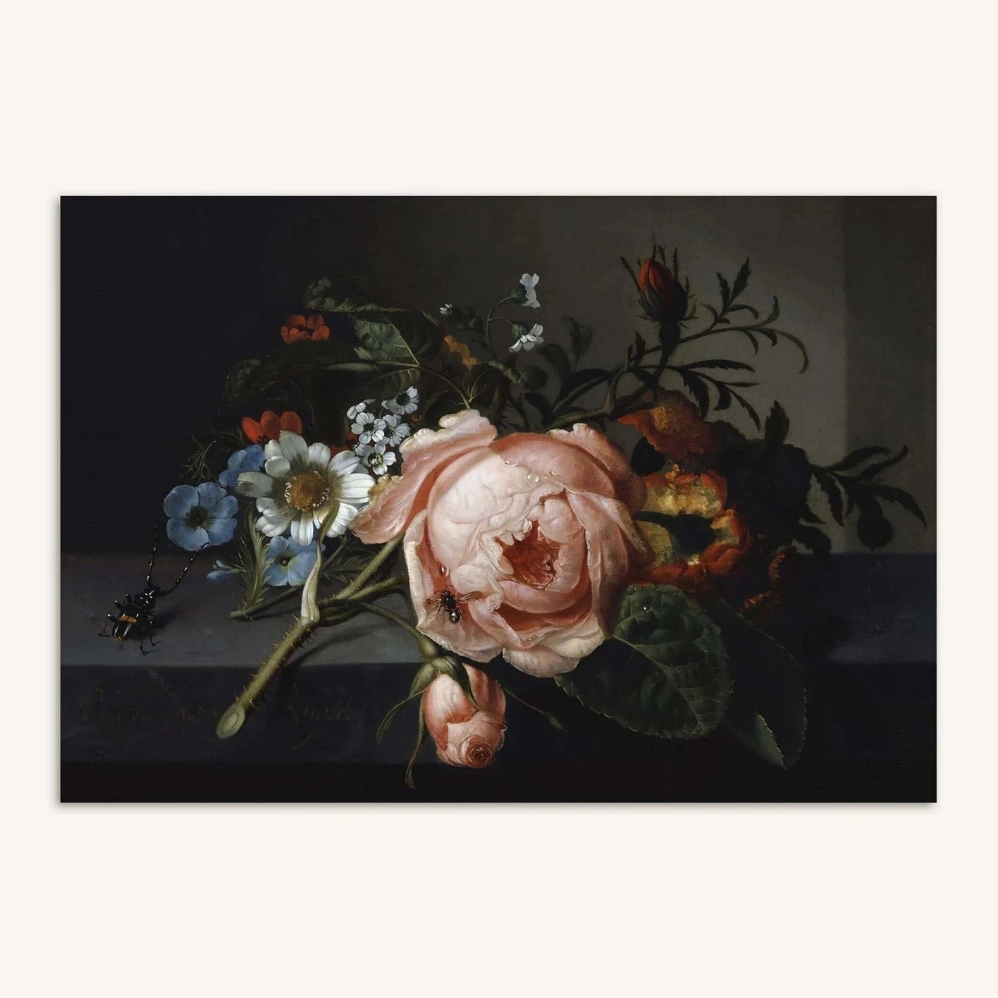 A4 Barock-Kunstdruck von Rachel Ruysch aus dem Jahr 1741 zeigt ein Stillleben mit rosa Rose, Käfer, Biene und zarten Feldblumen auf dunklem Grund.