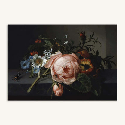 A4 Barock-Kunstdruck von Rachel Ruysch aus dem Jahr 1741 zeigt ein Stillleben mit rosa Rose, Käfer, Biene und zarten Feldblumen auf dunklem Grund.