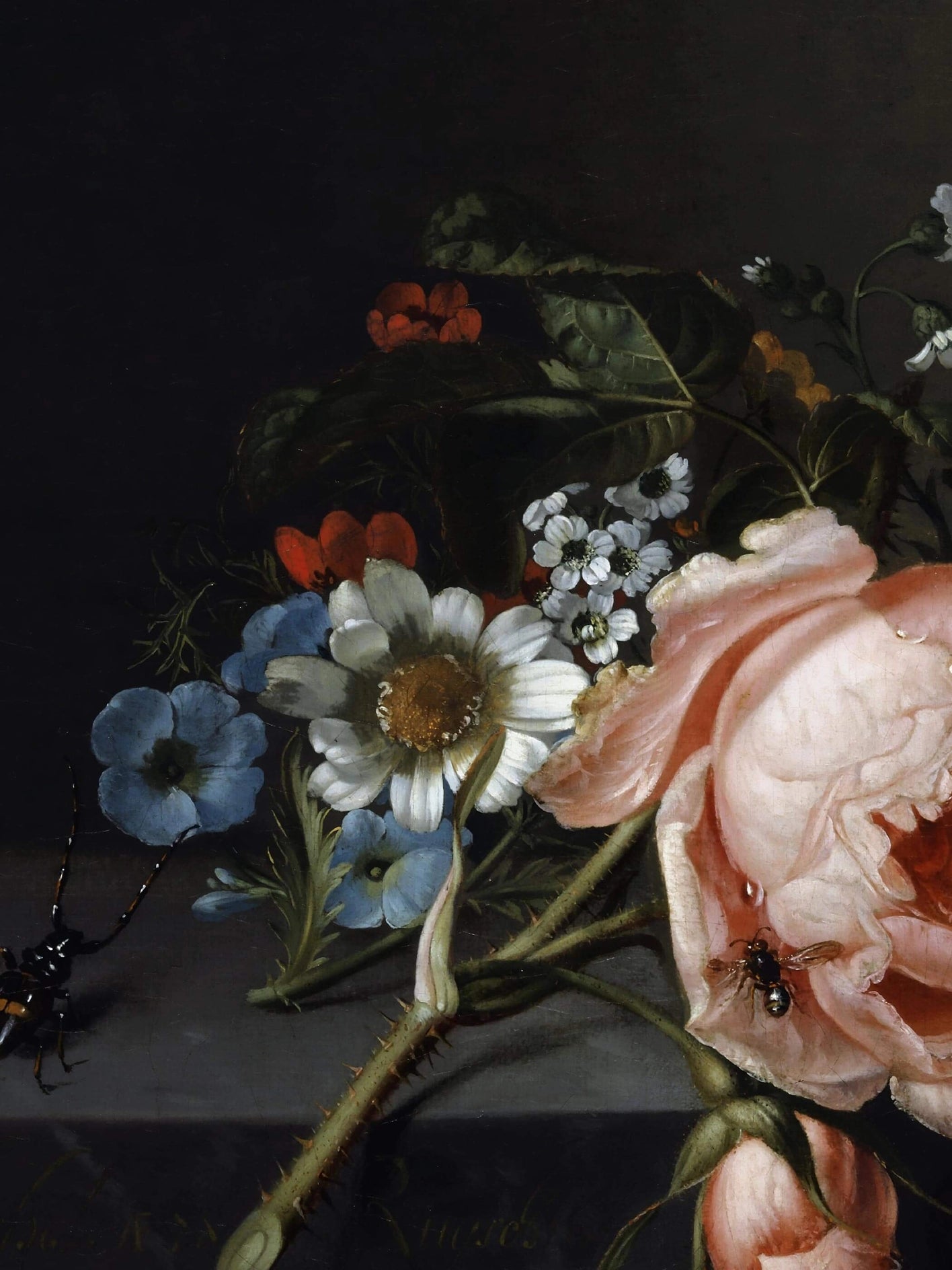 Detailausschnitt vom A4 Barock-Kunstdruck von Rachel Ruysch aus dem Jahr 1741. Es zeigt ein Stillleben mit rosa Rose, Käfer, Biene und zarten Feldblumen auf dunklem Grund.