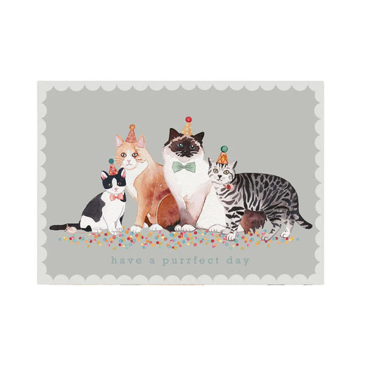 Aquarell-Illustration von vier Katzen mit Partyhüten und Konfetti, Text: "have a purrfect day".