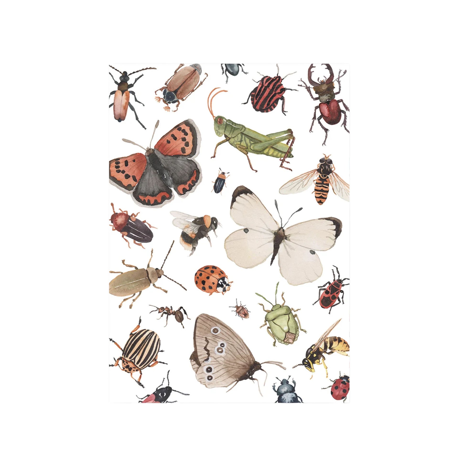 Übersichtliche Darstellung verschiedener Insekten wie Schmetterlinge, Käfer, Bienen und Grashüpfer als Aquarell.