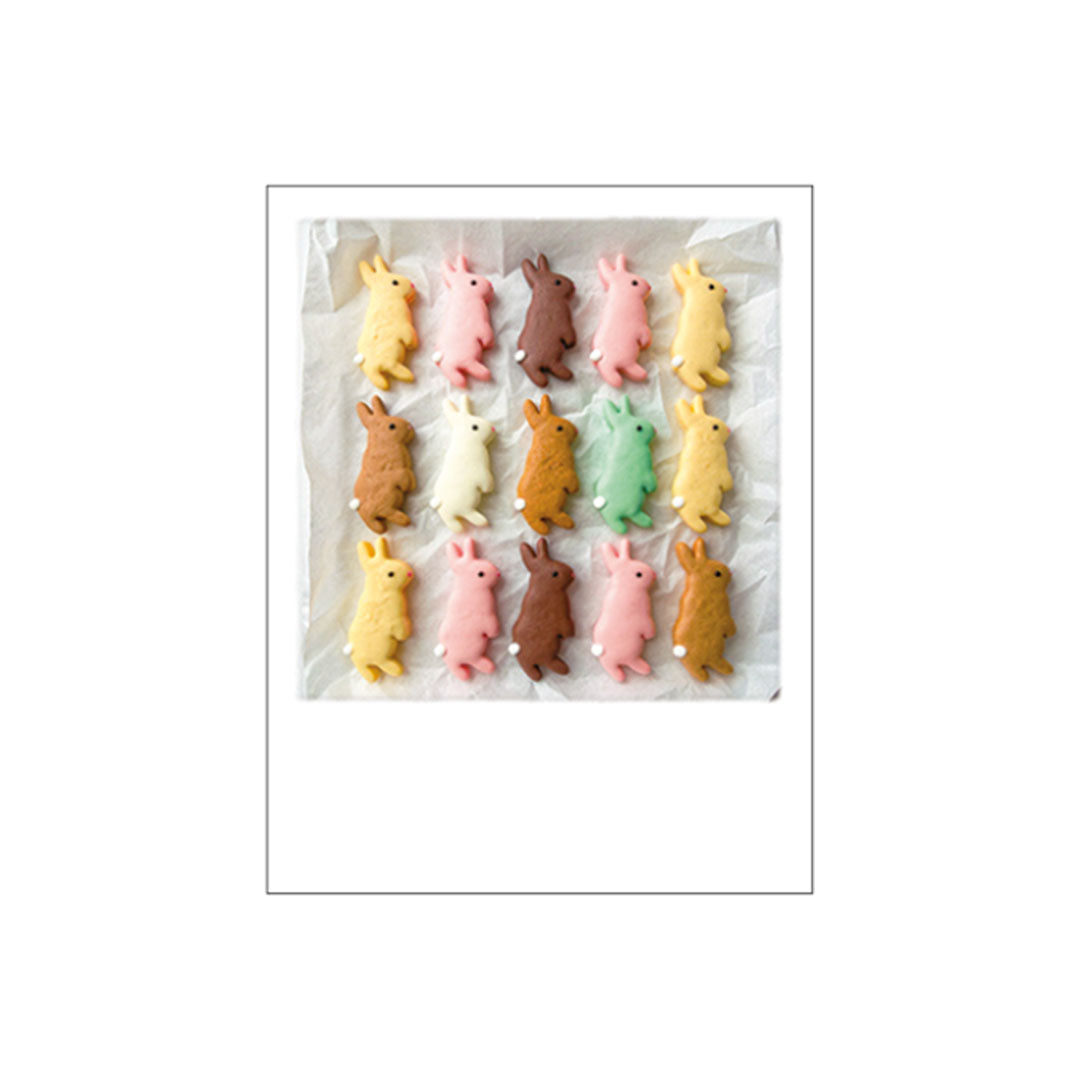 Eine Draufsicht auf fünfzehn pastellfarbene Kekse in Hasenform (gelb, rosa, braun, grün, weiß), die ordentlich in Reihen auf weißem Backpapier liegen.