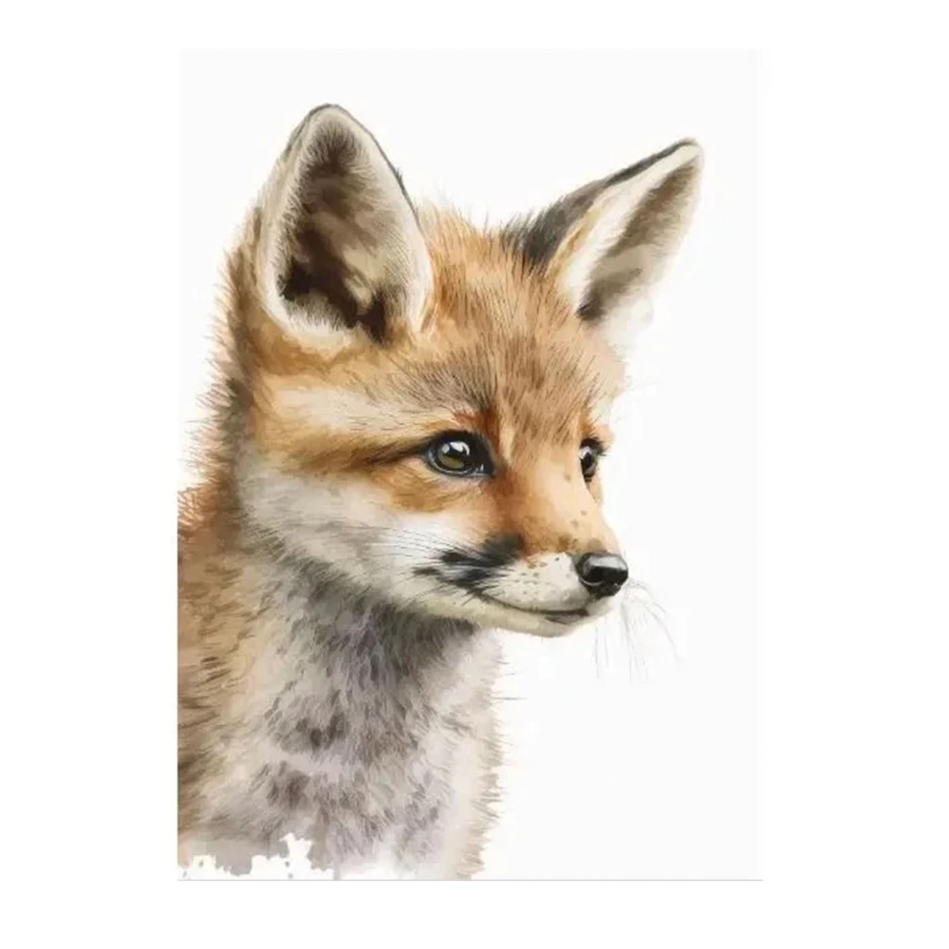 Kleiner Fuchs von der Seite auf weißem Hintergrund
