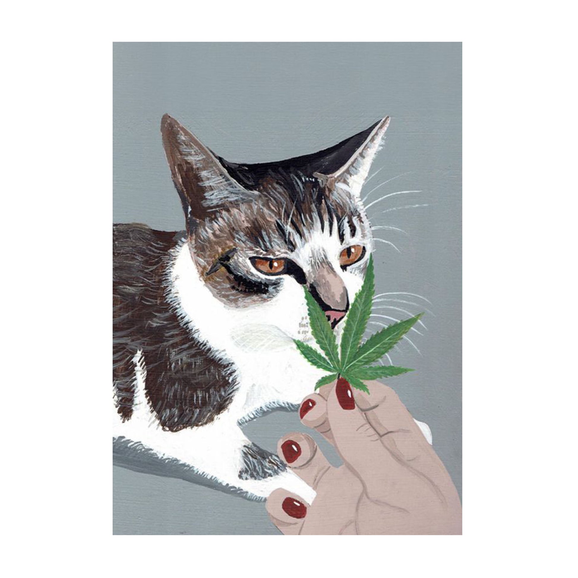 Eine Nahaufnahme einer getigerten Katze mit weißen Flecken vor einem grauen Hintergrund. Eine Hand mit rot lackierten Fingernägeln hält der Katze ein grünes Cannabis-Blatt direkt vor die Nase. Die Katze blickt mit bernsteinfarbenen Augen konzentriert auf das Blatt.